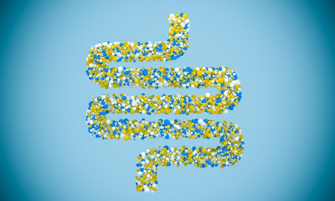 GUT AND PROBIOTICS - GNC India