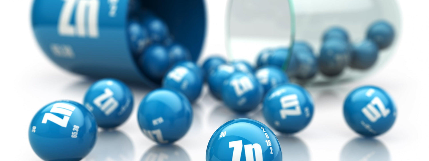 How Zinc Supplementation Protects your Immunity - GNC India
