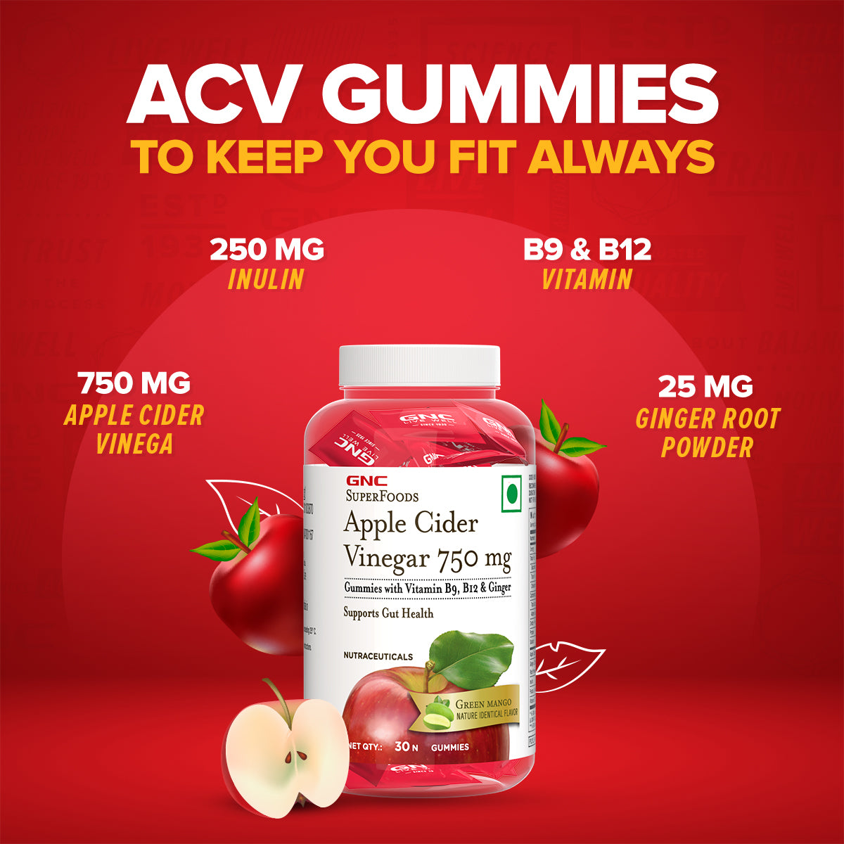 GNC Apple Cider Vinegar - 750 mg with Inulin, Ginger & Vitamin B9 & Vitamin B12