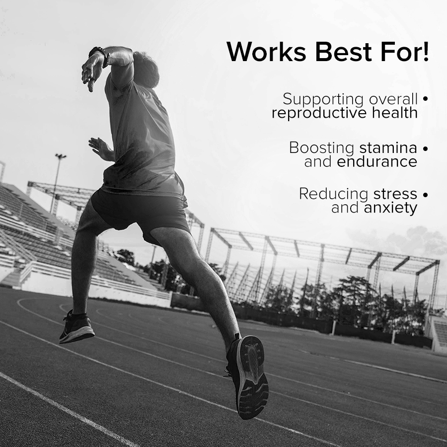 90200253 999-253-172 999-253-458