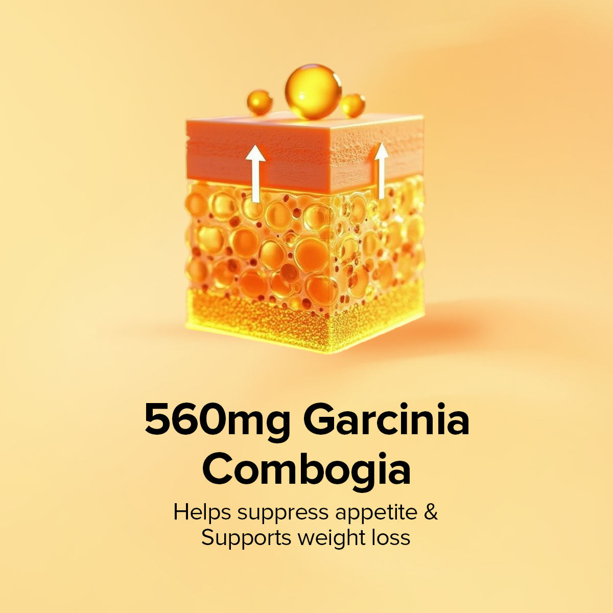 90200603 90200588 90200589