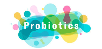 Prebiotics and Probiotics. What is the Difference? - GNC India