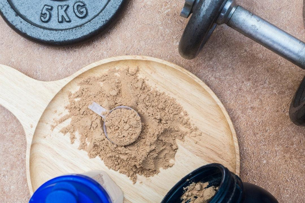 Whey Isolate and its Benefits - GNC India