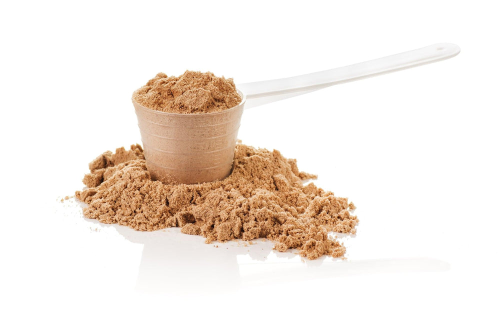 How Whey Protein Helps Improve Our Immunity: Today’s Necessity for All! - GNC India