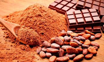 One cube of DARK CHOCOLATE a day keeps the STRESS away! - GNC India