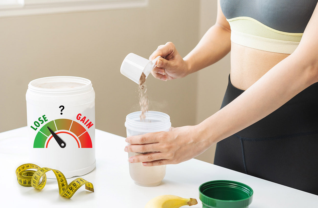 Do Protein Shakes Make You Fat? GNC Live Well GNC India