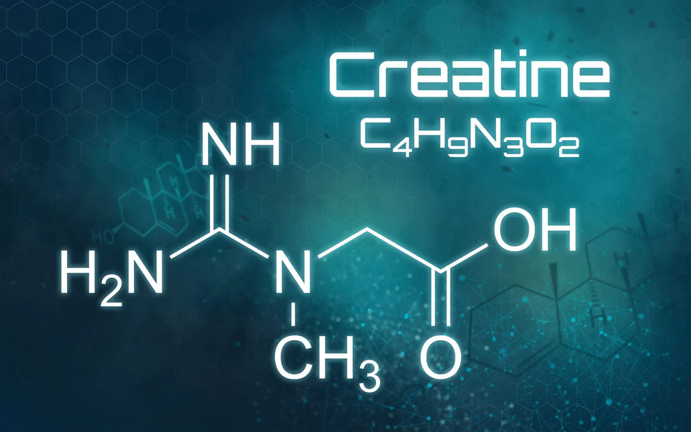 What is creatine and how does it work? - GNC India