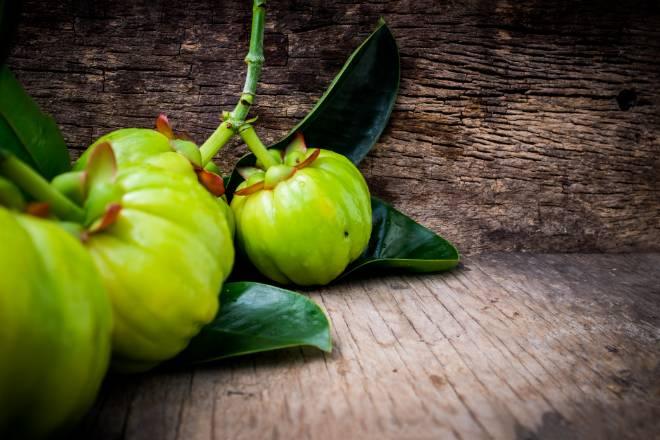How Garcinia Cambogia can help Lose Weight and Belly Fat? - GNC India